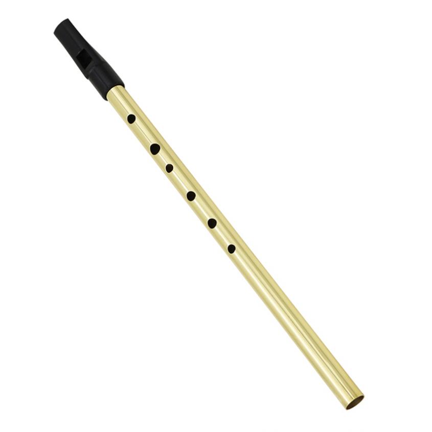 Irish Whistle Soprano Flute D  - огляд і ціна Tin Whistle Flute