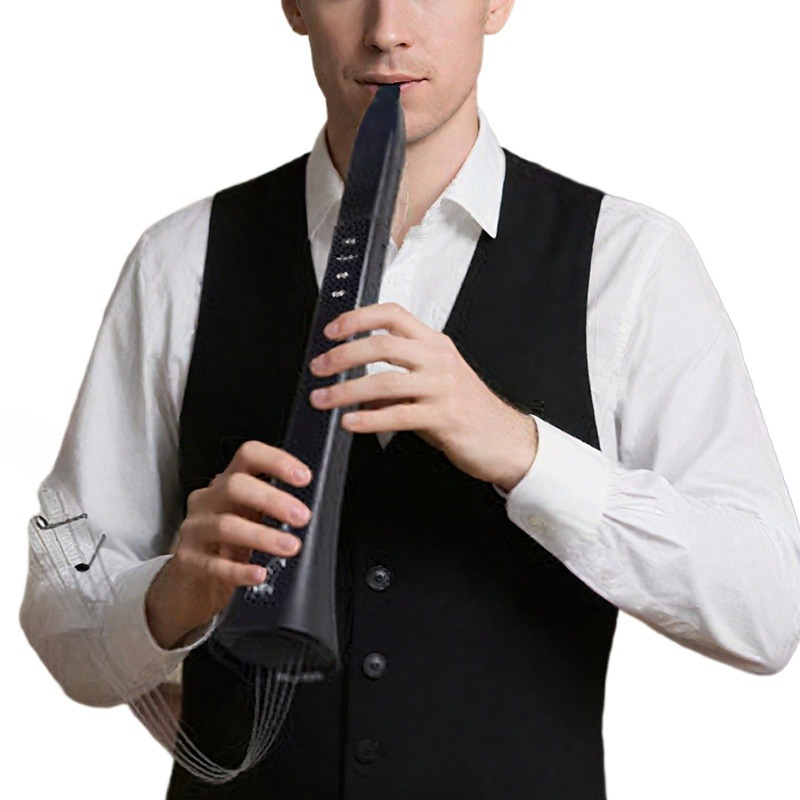 Portable Electronic Wind Instr - огляд і ціна Musical Instrument Of