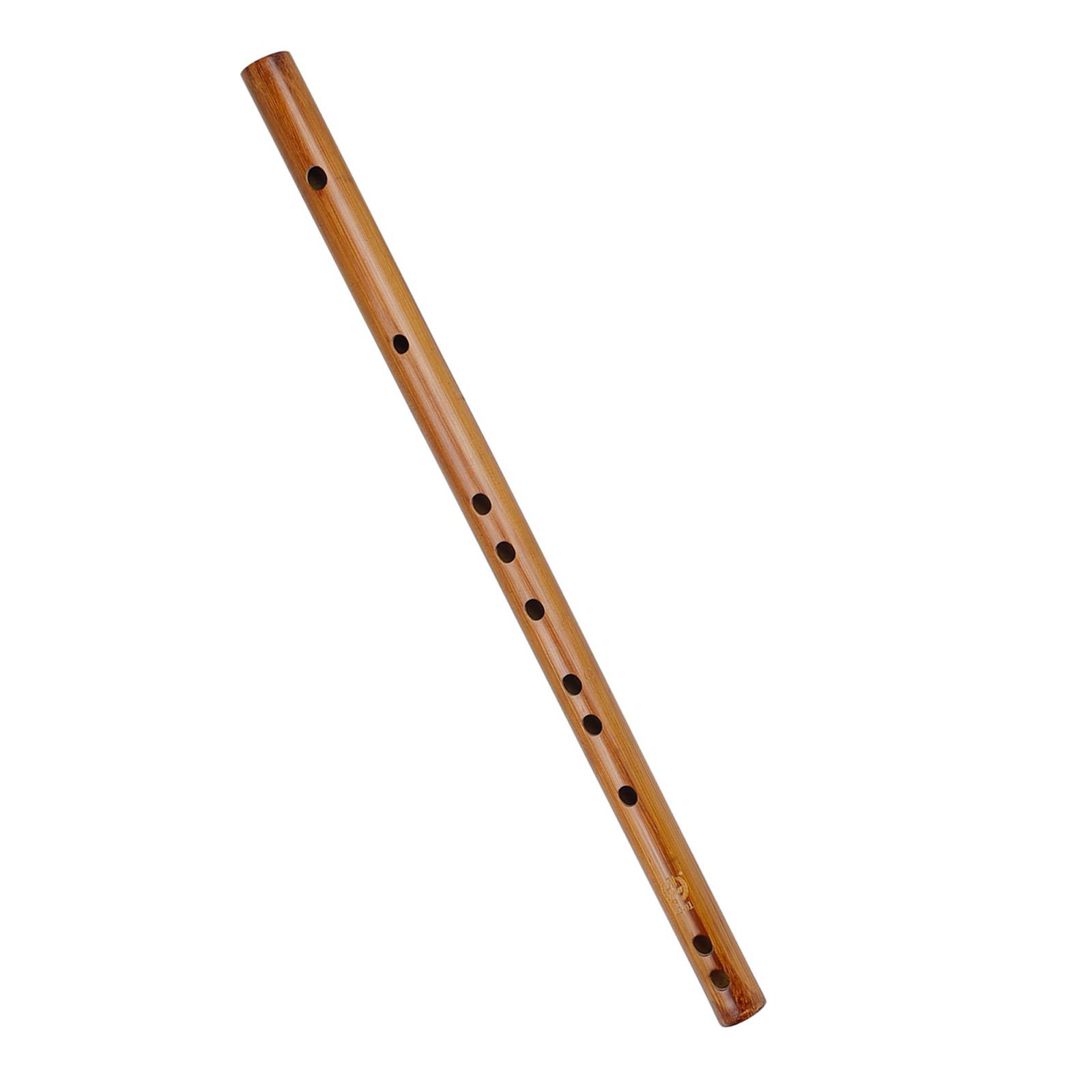 Unique Birthday Gift ,Indian W - огляд і ціна Musical Instrument Theremin