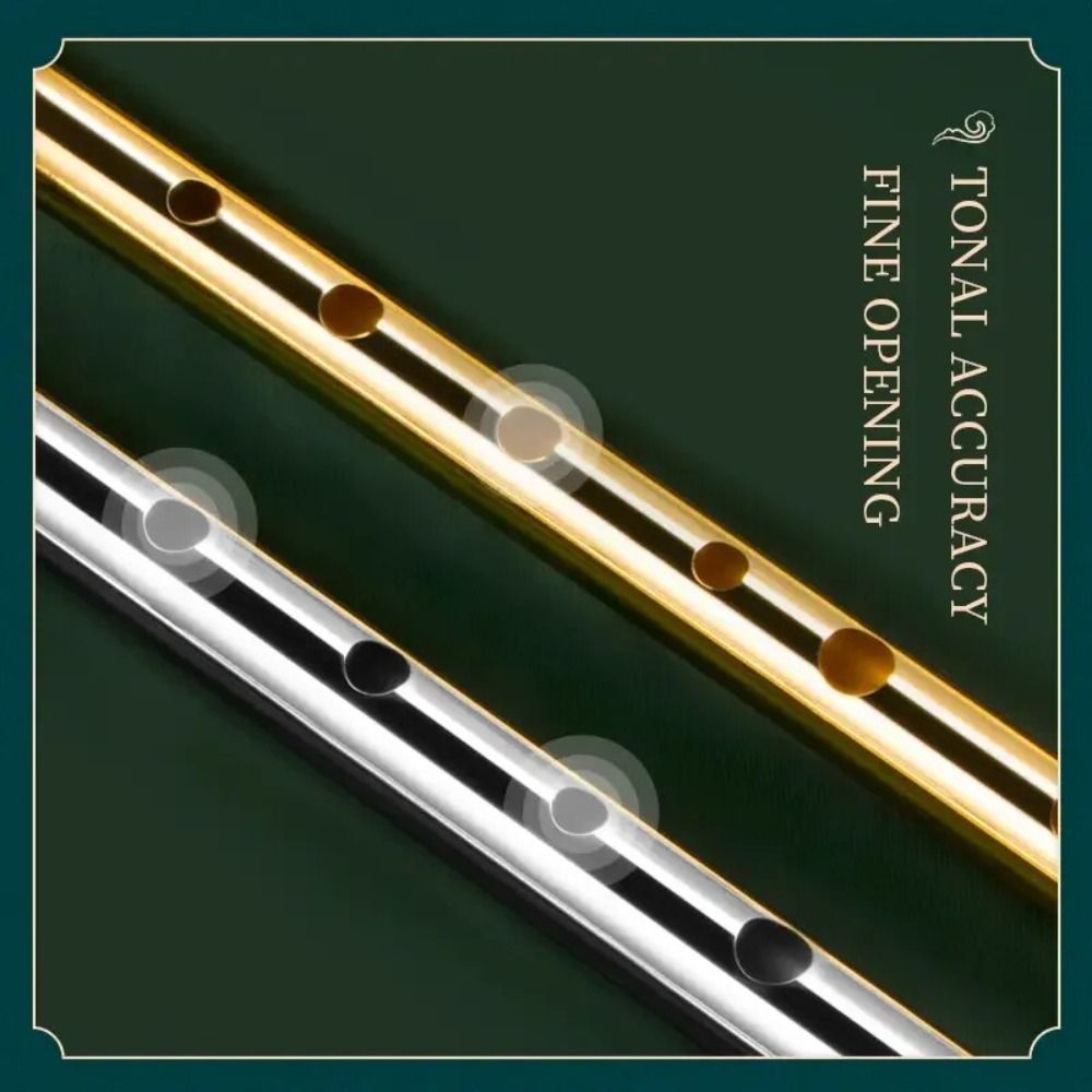 6 Holes C/D Key Irish Whistle  - огляд і ціна Tin Whistle Flute